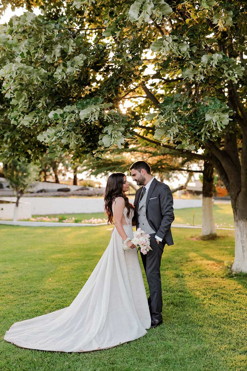 Ktima Gouda  portfolio